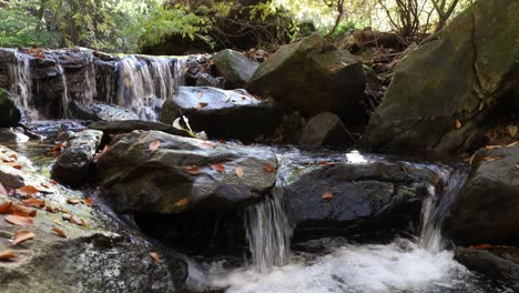 Cool,-clear-mountain-stream-cascades-over-and-around-wet-boulders-with-colorful-leaves-of-autumn