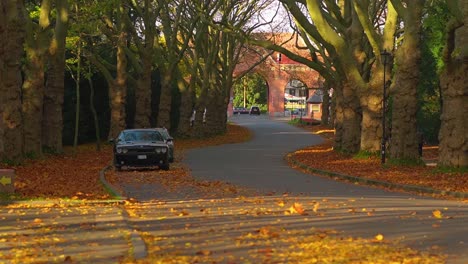 Cars-Parked-On-The-Road-With-Fallen-Autumn-Leaves-On-A-Sunny-Morning---wide-shot