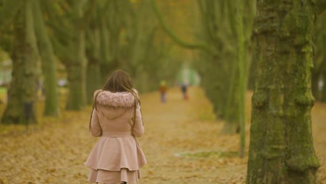 Lone-Young-Woman-Walks-Through-Avenue-Park-With-Blurry-Autumn-Landscape,-Back-View,-Slow-Motion