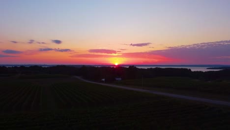 Ein-Wunderschöner-Sonnenuntergang-Im-Norden-Von-Michigan-über-Einem-Weinfeld