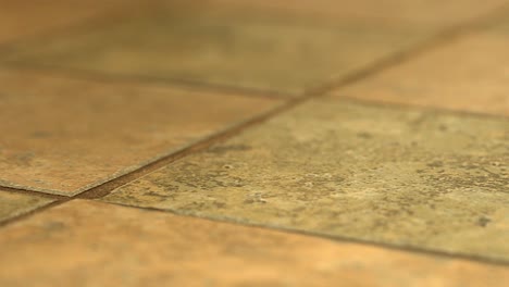 Flooring-tiles-newly-installed-on-bathroom-floor