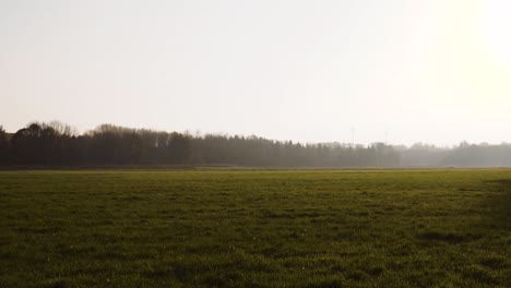 Morning-Scenery-of-Empty-Field-with-View-to-Foggy-Areas-in-Autumn