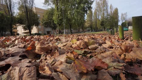 Boden-Voller-Blätter,-Herbst,-In-Einem-Park-4k