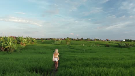 Cute-blond-woman-exploring-famous-rice-paddies-of-Bali-at-dawn,-aerial