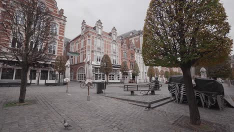 The-Kotmadam-statue-at-the-old-square-in-Leuven-surrounded-by-doves-during-Belgian-corona-lockdown