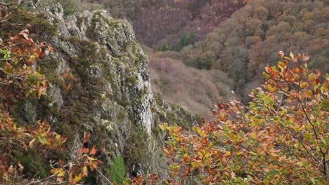 Landschaftsblick-Auf-Das-Bergtal,-Wunderschöne-Herbst-Herbst-Farben-In-Den-Ästen,-Die-Im-Wind-Schwingen