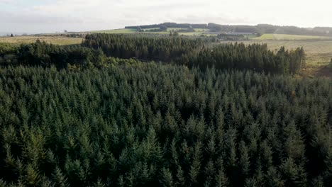 Rotating-aerial-view-of-vast-dense-forest-and-lake-in-countryside