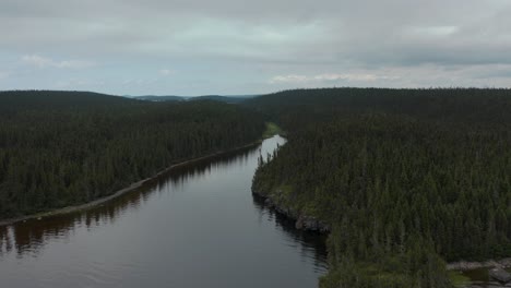 Drone-following-a-gorgeous-bank-in-the-wild-forest