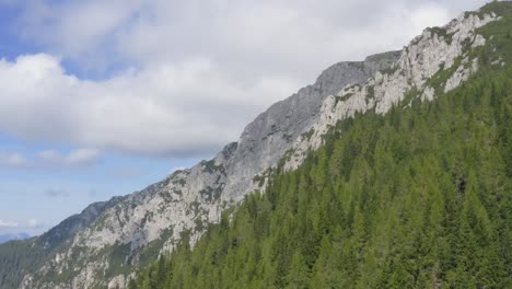 Aéreo-Sobre-árboles-Verdes-Y-Montañas-Rocosas-Alpinas,-Alpes