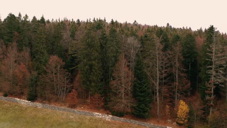 Drone-fly-over-of-a-Misty-Autumn-forest-in-the-Jura-mountains-in-Switzerland