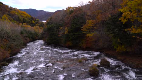 Beautiful-Autumn-Foliage-next-to-running-river-in-Nikko,-Japan