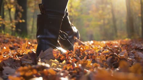 Slow-Motion-of-Boots-Walking-on-Foliage-in-Forest-on-Bright-Autumn-Day