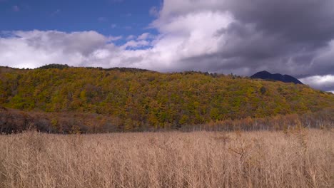 Schönes-Herbstlaub-Gegen-Grünland-Und-Blauer-Himmel-Mit-Sich-Bewegenden-Wolken