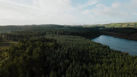 Aerial-view-of-beautiful-forest-and-lake-scenery,-sliding-shot
