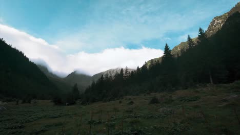 Pan-left-camera-movement-of-a-mountain-valley-with-a-meadow,-pine-forests-in-the-foreground-and-a-background-showing-some-mountain-peaks-covered-in-white-cloud