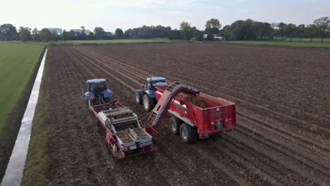 Farmers-harvesting-potato-crop-with-tractors-on-rural-land-drone-high-angle