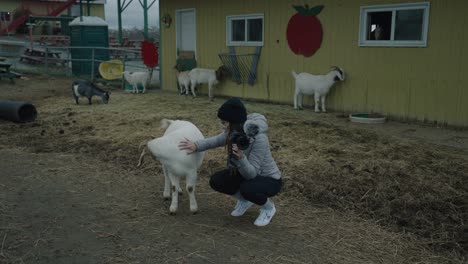 A-Young-Girl-Caressing-The-Goat-In-The-Barnyard-In-Coaticook,-Quebec,-Canada---Medium-Shot,-Slow-Motion