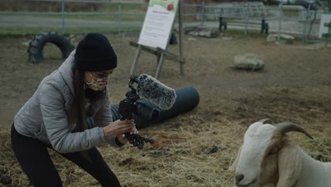 A-Young-Girl-With-A-Handheld-Camera-Taking-A-Close-Up-Shot-Of-A-Boer-Goat-In-A-Rural-Farm-In-Coaticook,-Quebec,-Canada---Medium-Shot,-Slow-Motion