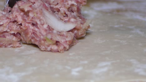 Place-minced-meat-with-onions-in-the-dough