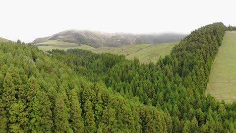 4K-Luftaufnahmen,-Die-über-Die-Wunderschöne,-üppig-Grüne,-Hügelige-Landschaft-Der-Portugiesischen-Azoren-Fliegen