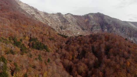 Blattlose-Braune-Waldbäume-Auf-Felsigem-Berg-Im-Herbst-Bewölkter-Tag,-Luftbild
