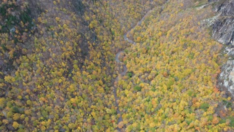 Birds-Eye-Aerial-View-of-Valley-Road-and-Yellow-Green-Forest-Foliage-in-Autumn