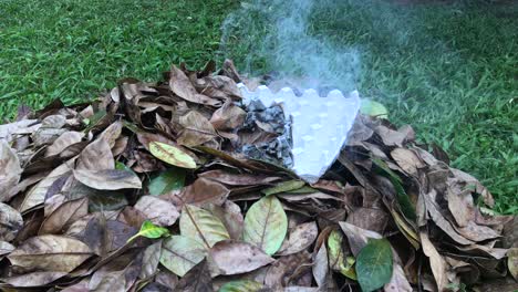 Das-Verbrennen-Von-Getrockneten-Blättern-Und-Einer-Eierkartonschachtel-Kann-Zur-Luftverschmutzung-Beitragen