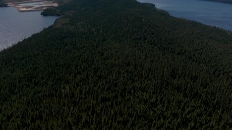 Drone-Volando-Sobre-Un-Bosque-Y-Panorámico-Revelando-El-Cielo-Azul-De-Verano-En-El-Norte-De-Quebec