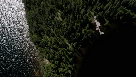 Drone-Volando-Sobre-Un-Muelle,-Un-Bosque-Salvaje,-Siguiendo-Las-Costas-Y-Revelando-El-Cielo-Azul