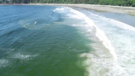 Aerial-View-of-Surfers-and-Waves-on-Florencia-Bay-Beach-Vancouver-Island-Canada