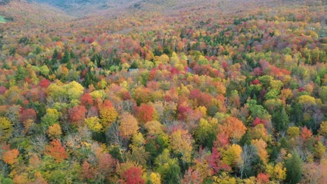 Forest-in-Autumn-Leaves-Colors,-Aerial-View-of-Colorful-Fairytale-Fall-Landscape-in-American-Countryside