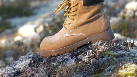 Slomo-close-up-of-beige-hiking-boots-stepping-on-mossy-stone-in-forest