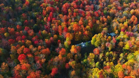 Hidden-countryside-house-in-vivid-red-green-forest