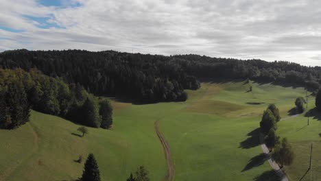 Rural-picturesque-aerial-green-Slovenia-valley-meadow-countryside-woodland-slow-descending-shot