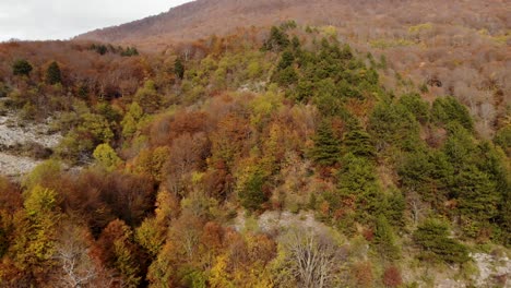 Panoramic-mountain-slope-covered-in-yellow-brown-and-green-trees-in-Autumn
