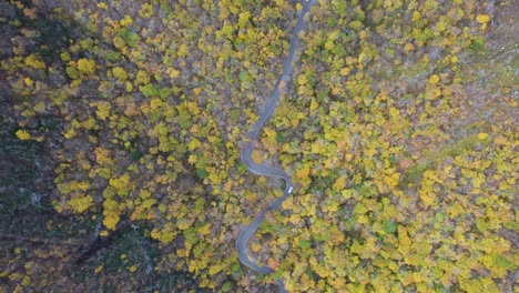 Top-Down-Aerial-View-of-Vehicles-on-Curvy-Countryside-Road-in-Middle-of-Forest-on-Autumn-Day,-High-Angle-Drone-Shot