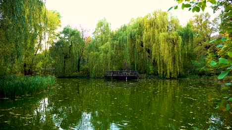 Romantic-Park-Scenery-with-Idyllic-Pond-Surrounded-by-Willow-Trees