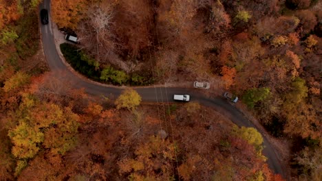 Mountain-road-with-cars-driving-through-yellow-brown-forest-trees-in-Autumn