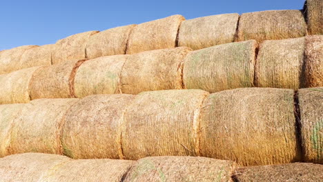 Huge-pile-with-bales-of-straw.-Agriculture