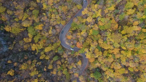 Birds-Eye-Aerial-View-of-Traffic-on-Curvy-Road-in-the-Middle-of-Forest-in-Autumn-Foliage