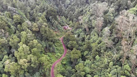 People-walk-meandering-remote-road-on-majestic-forest