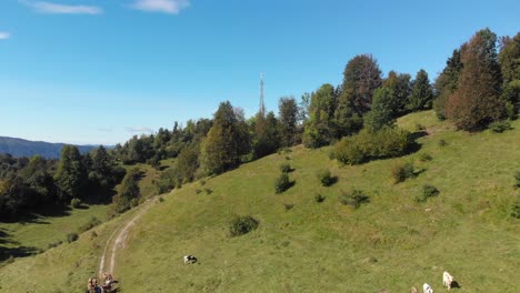 Drohne-Fliegt-über-Kühe-Auf-Der-Weide-In-Richtung-Senderturm-Auf-Dem-Berggipfel