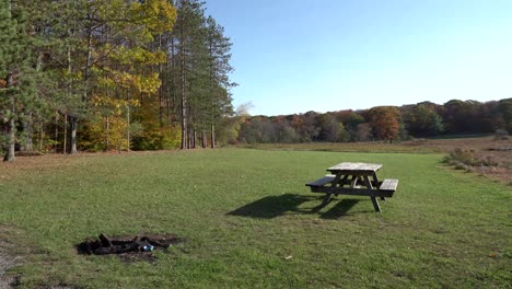 A-windy-autumn-day-at-a-wide-open-picnic-area-with-a-forest-on-the-side