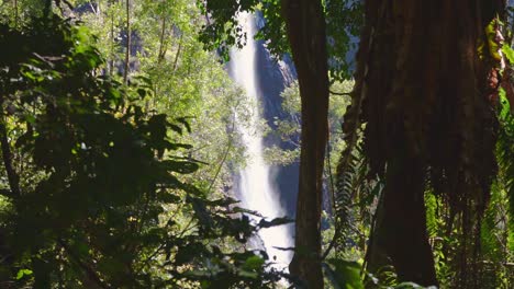 Waterfall-view-through-the-thick-and-lush-green-australian-rainforest
