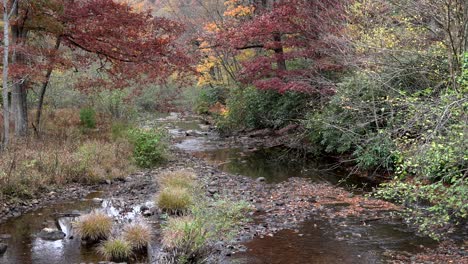 Ein-Kleiner-Bach,-Der-An-Einem-Kühlen-Herbsttag-In-Den-Bergen-Durch-Den-Wald-Fließt