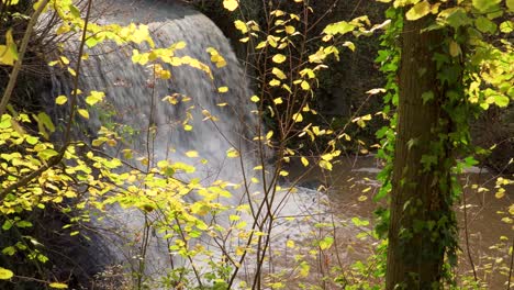 Trull-waterfall-in-the-fall-autumn,-man-made-water-fall-in-Taunton-Somerset