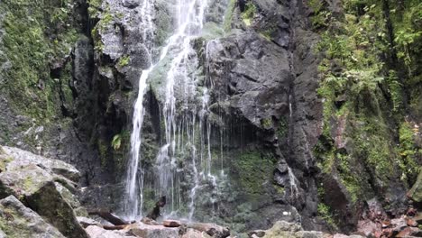 La-Idílica-Burgbachwasserfall-En-La-Selva-Negra,-Alemania