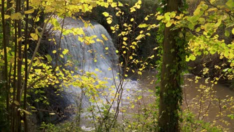 Trull-waterfall-in-the-fall-autumn,-man-made-water-fall-in-Taunton-Somerset