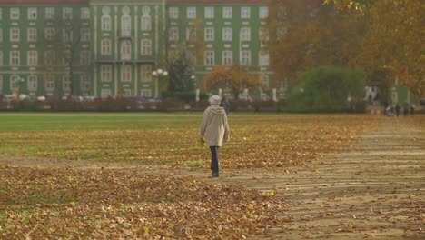 Woman-Walking-In-A-Field-Full-Of-Fallen-Leaves-At-A-Park-In-Autumn---wide-shot