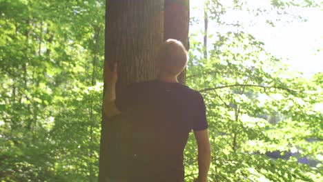 Young-man-approaches-high-tree-in-forest-and-looks-up,-slow-motion,-sun-flares